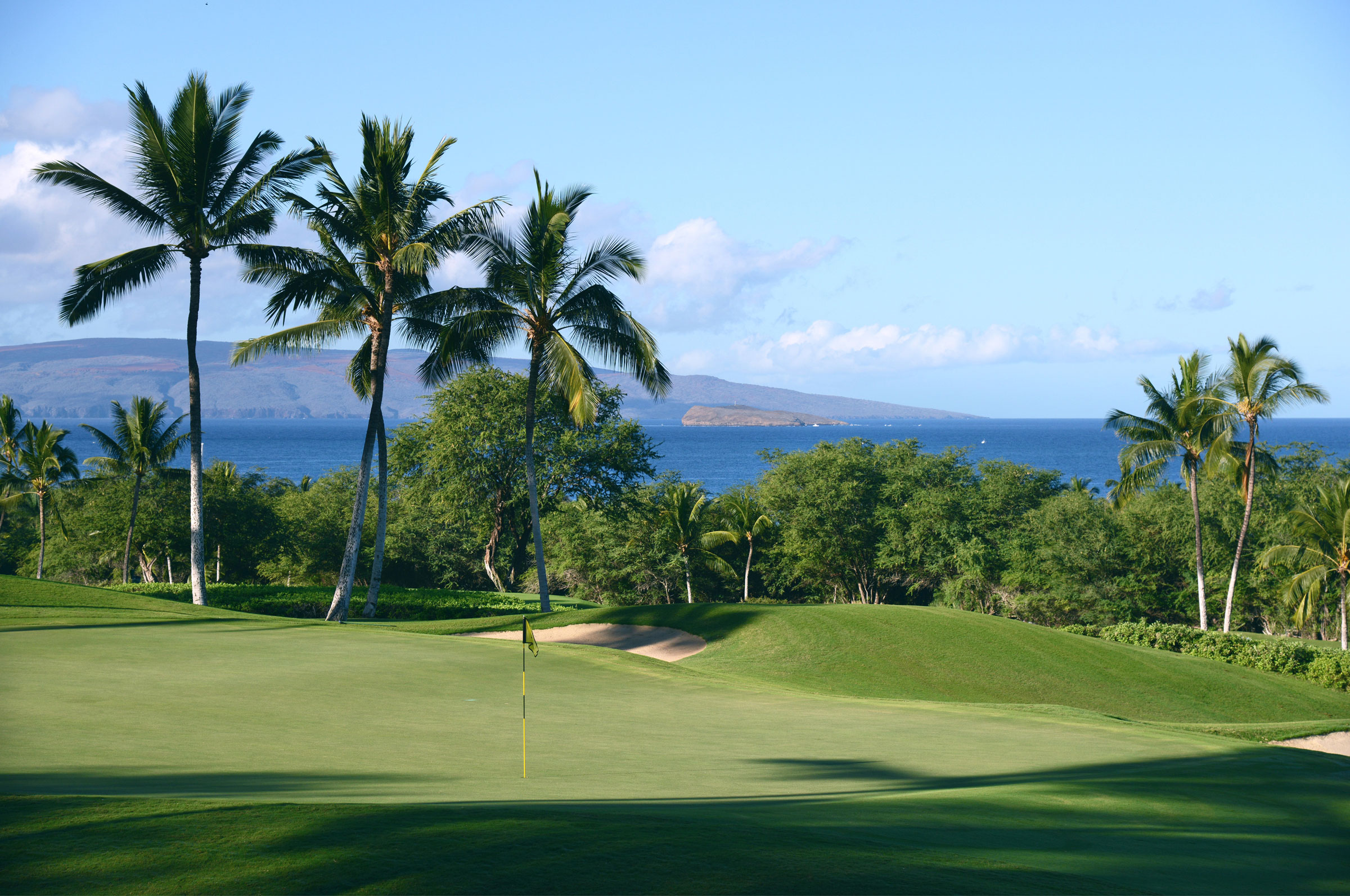 Wailea Blue